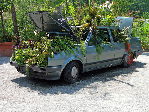 Blumenauto
