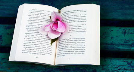 Reading romance, book, poetry, flower