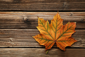Naklejka na ściany i meble Dry maple leaf on brown wooden table