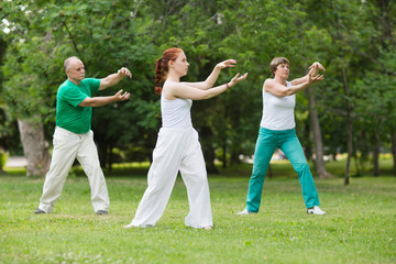 group of people practice Tai Chi Chuan in a park.  Chinese management skill Qi's energy. - obrazy, fototapety, plakaty