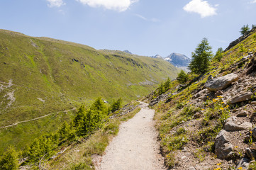 Fototapeta na wymiar Muottas Muragl, St. Moritz, Val Muragl, Wanderweg, Panoramaweg, Alpen, Oberengadin, Graubünden, Sommer, Schweiz