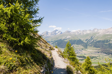 St. Moritz, Muottas Muragl, Panoramaweg, Alpen, Oberengadin, Sommer, Graubünden, Schweiz