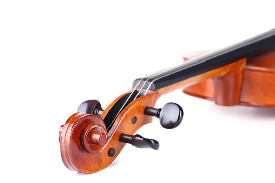 Violin head on white background