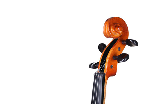 Violin head on white background