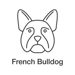 French Bulldog linear icon