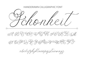 Handrawn vector alphabet. Modern calligraphic font. Brush painted letterswith decorative swashes.