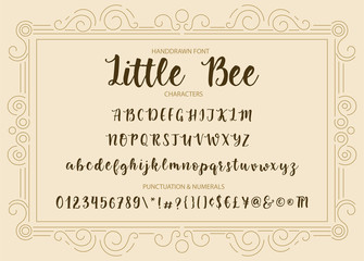 Handrawn vector alphabet. Modern calligraphic font. Brush painted letters.