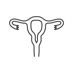 Uterus, fallopian tubes and vagina linear icon