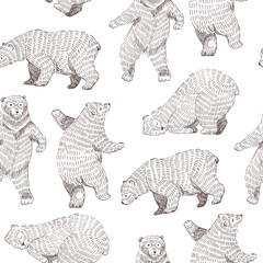 Wektor bezszwowe tło z ręcznie rysowane śmieszne niedźwiedzie. Stylowy design Hipster. - 213932329