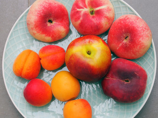 Sommerlicher Obstteller mit Aprikosen, Pfirsichen und Äpfeln