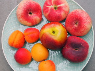 Sommerlicher Obstteller mit Aprikosen, Pfirsichen und Äpfeln