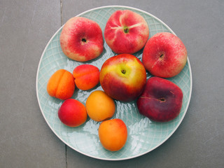 Sommerlicher Obstteller mit Aprikosen, Pfirsichen und Äpfeln
