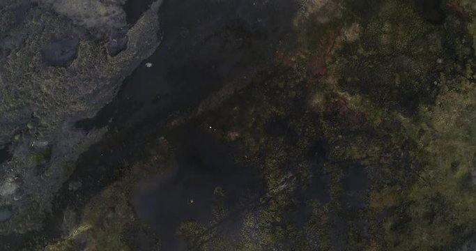 aerial drone view of black sand and volcanic stone in iceland