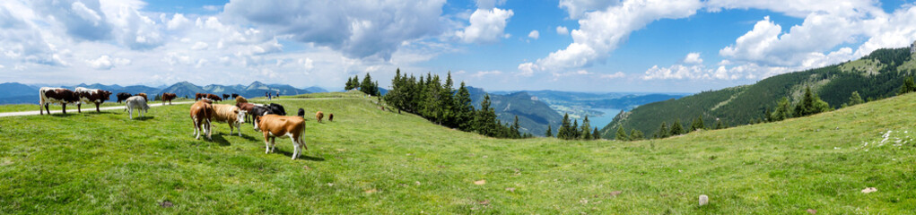 Panorama Alm im Salzkammergut
