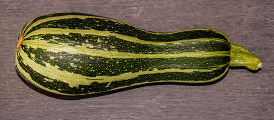 Zuchini frisch aus dem Garten