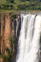 Fototapeta premium Howick Falls, Durban
