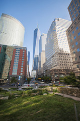 Office buildings and world trade center in lower manhattan, New York City