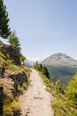 Obraz premium St. Moritz, Val Roseg, Roseggletscher, Panoramaweg, Muottas Muragl, Oberengadin, Alpen, Graubünden, Sommer, Schweiz