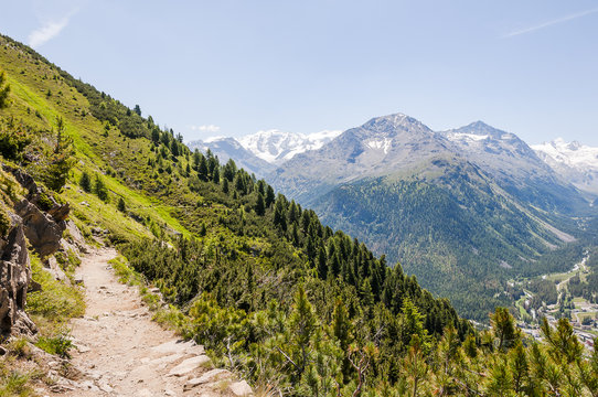 Pontresina, Muottas Muragl, Diavolezza, Gletscher, Piz Pal&uuml;, Bernina, Val Roseg, Val Bernina, Oberengadin, Alpen, Graub&uuml;nden, Schutzwald, Sommer, Schweiz