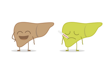 Healthy and sick liver isolated on white background vector illustration