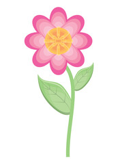 beautiful flower icon