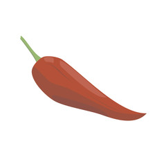 Vector paprika illustration isolated in cartoon style. Herbs and Species Series