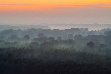 Mystical view from top on forest under haze at early morning. Mist among layers from tree silhouettes in taiga under warm predawn sky. Morning atmospheric minimalistic landscape of majestic nature.