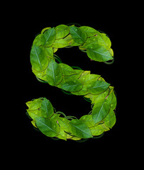Alphabet letters from leaves "S"