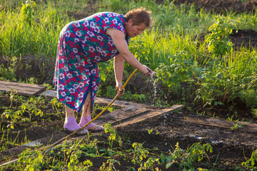 Woman watering the garden with a hose
