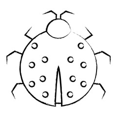 ladybug icon image