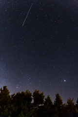 Fototapeta premium Falling stars over the forest at the Troodos mountains