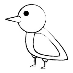 cute bird icon