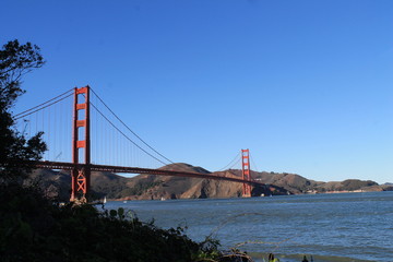 vista golden gate