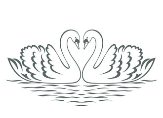 Swan couple silhouette. Vector illustration.