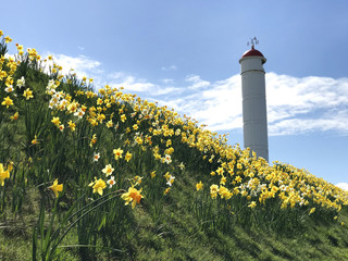 Buckie lighthouse