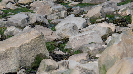 Rocks at Kilve beach in England
