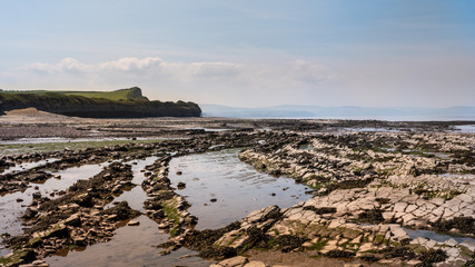 Rocky Jurrasic beach near Kilve Somerset England with many fossils 