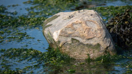 Naklejka na ściany i meble Rocks at Kilve beach in England