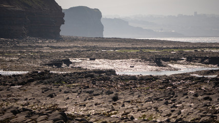 Rocky Jurrasic beach near Kilve Somerset England with many fossils 