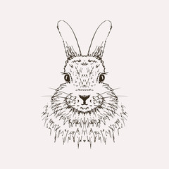 Rabbit sketch. Hand drawn vector illustration.