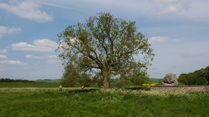 Part of the Stone circle at Avebury, a neolithic henge monument and an Unesco World Heritage site, Wiltshire England