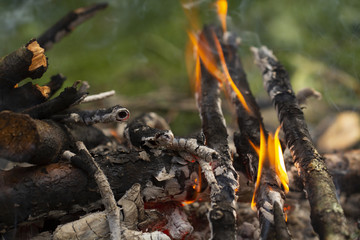 Burning campfire. Burning wooden sticks. Camping in nature and making a campfire. Campfire burning bright. Burning campfire in forest. Campfire at tourist camp at nature. Fuel, power and energy