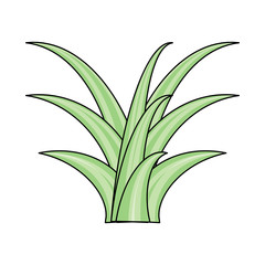 plant icon image