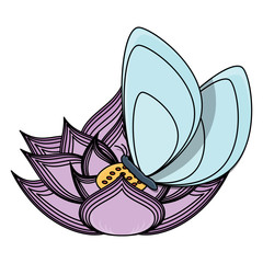 beautiful butterfly icon