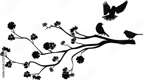 "Ast mit Vögel Silhouette" Stockfotos und lizenzfreie Vektoren auf