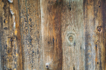 old, grunge wood panels