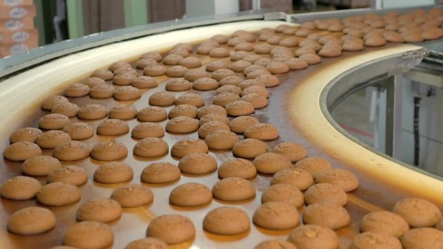 Automated production line and conveyor belt at modern bakery factory interior. Machines and equipment for baking confectionery crackers, cookies. Industrial food production