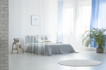 Round rug near bed under veil in blue and white bedroom interior with plant and stool. Real photo