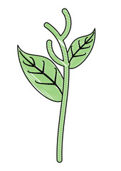plant icon image