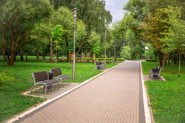 Summer Park with views of the path and benches surrounded by trees